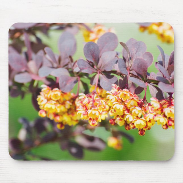 Spring blossoming mouse pad (Front)