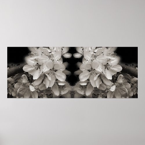 Spring Blossoms Black And White Mirror Abstract Poster
