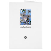 Spring Blossoms Card (Back)