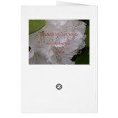 Spring Blossoms Cards (Back)