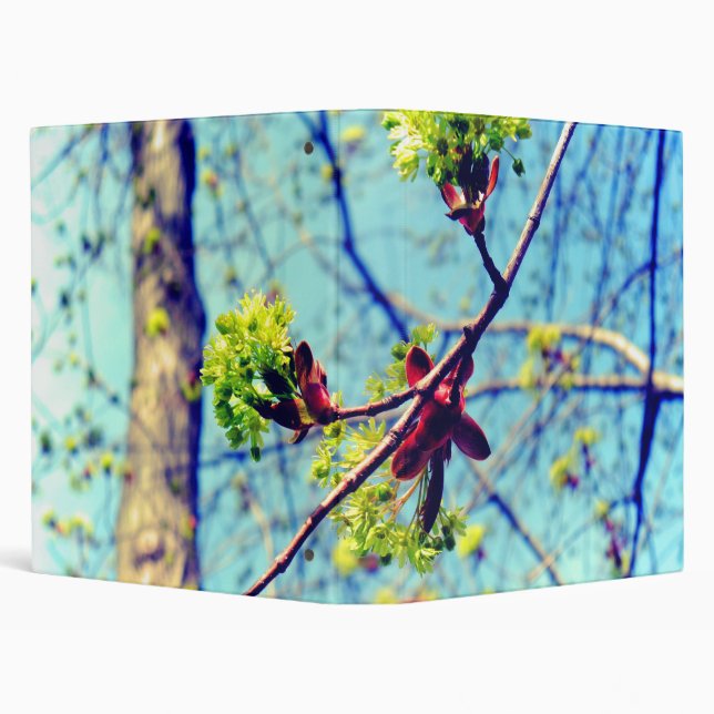 Spring blossoms maple tree stylized 3 ring binder (Background)
