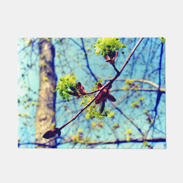 Spring blossoms maple tree stylized doormat (Front)