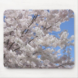 Spring Blossoms - Mousepad
