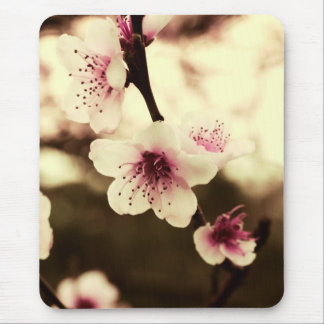 Spring Blossoms Mousepad