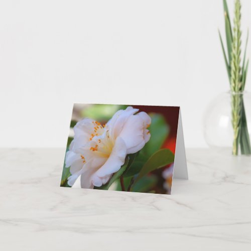 Spring Blossoms Note Cards