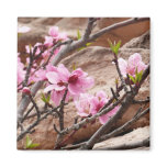 Spring Blossoms on Zion Rocks Magnet