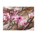 Spring Blossoms on Zion Rocks Postcard