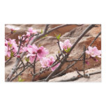 Spring Blossoms on Zion Rocks Rectangular Sticker