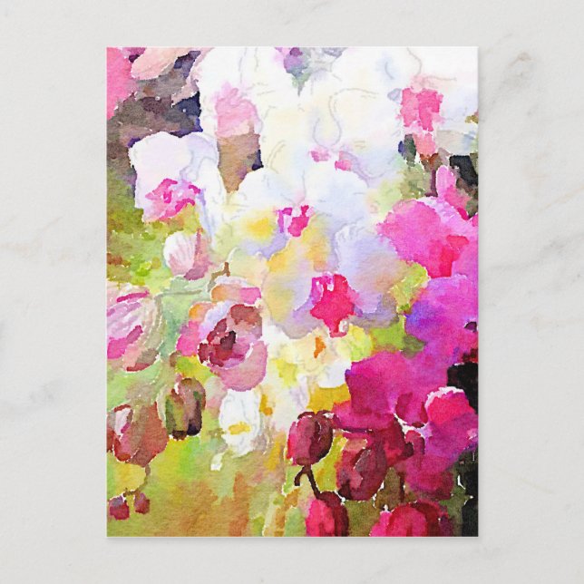 Spring Blossoms Postcard (Front)