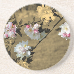 Spring Blossoms Sepia Floral Coaster