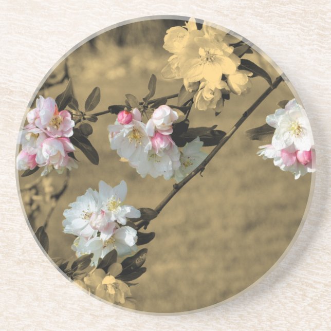 Spring Blossoms Sepia Floral Coaster (Front)