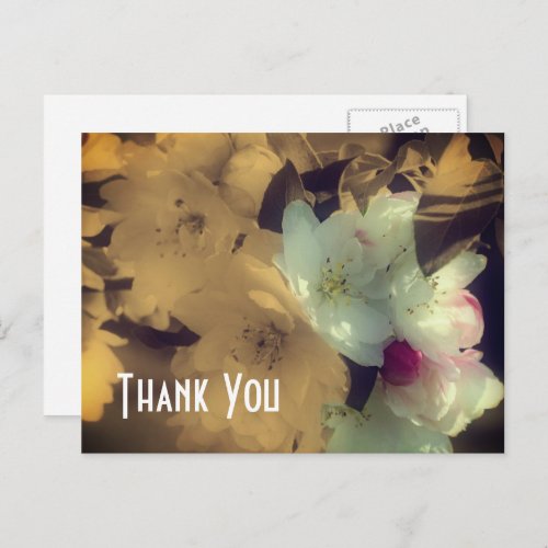 Spring Blossoms Sepia Flowers Thank You Postcard