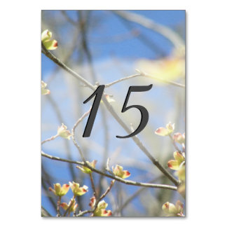 Spring Blossoms Table Number