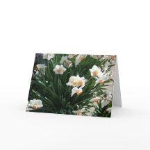Spring Blossoms Three