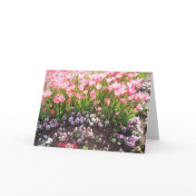 Spring Blossoms Two