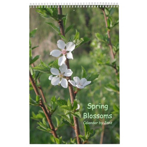 Spring Blossoms Wall Calendar by Janz