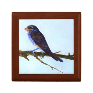 Spring Blue Bird Gift Box