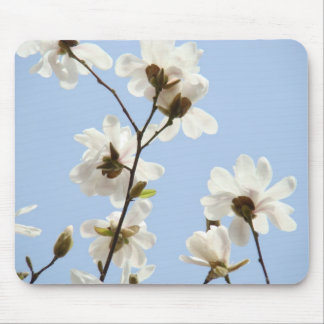 Spring Blue Sky White Magnolia Flowers mouse pad