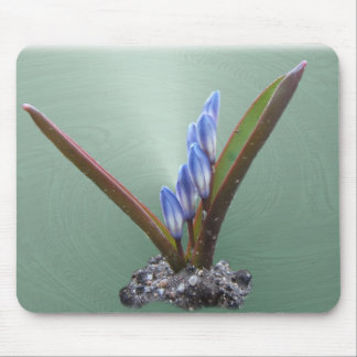 Spring Blue swirl ~ mousepad