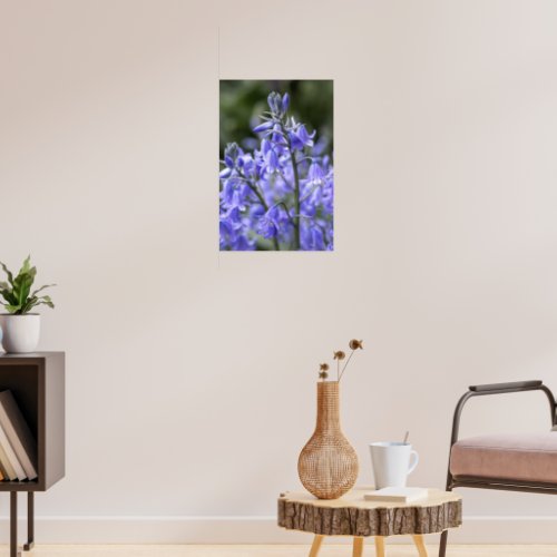 Spring Bluebells after the Rain Poster