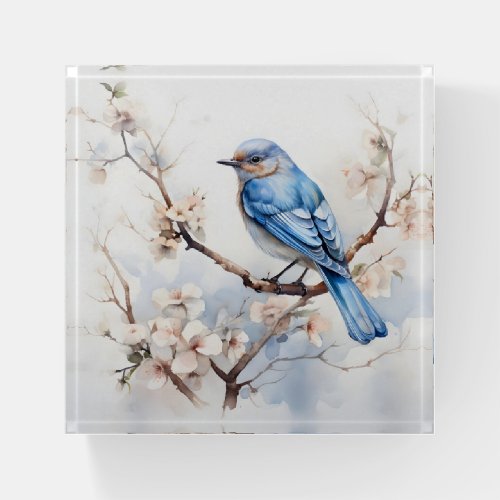 Spring Bluebird in the Blossoming Tree Paperweight
