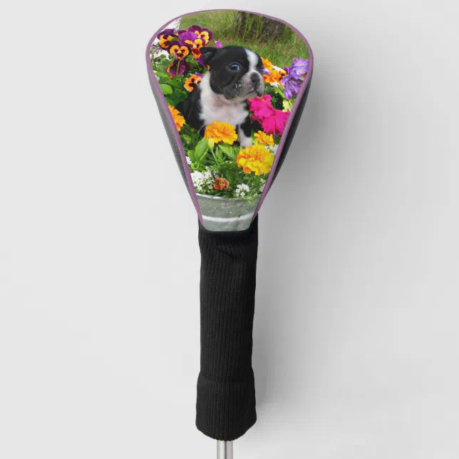 Spring Boston Terrier dog Golf Driver cover Zazzle