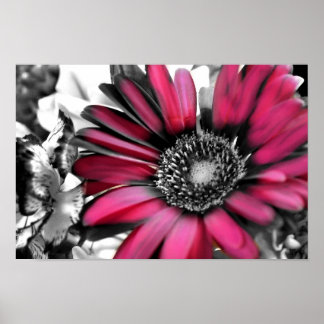 Spring Bouquet in Black & White Poster