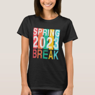 Spring Break Florida Sunset Vintage Matching Women T-Shirt