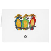 Spring Break Parrots Cards (Back Horizontal)