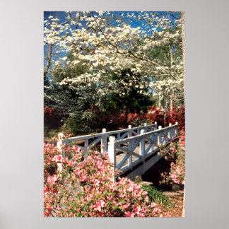 Spring Bridge Poster
