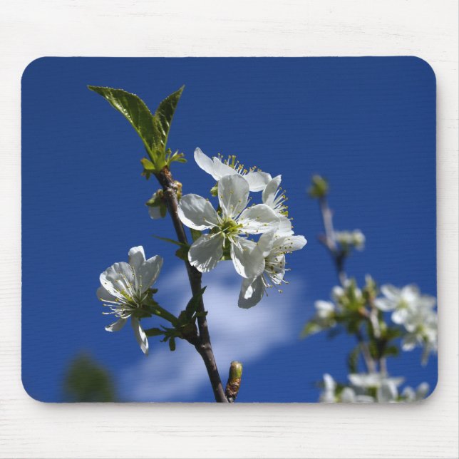 Spring Buds Mouse Pad (Front)