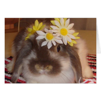 Spring bunnies cards
