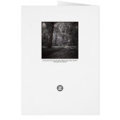 Spring Bute Park, Cardiff, Wales (Back)