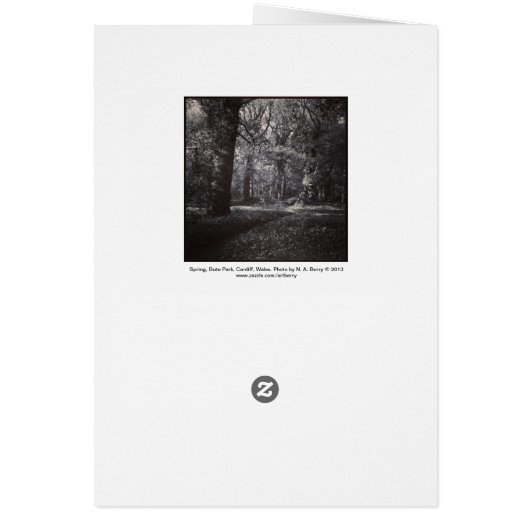 Spring Bute Park, Cardiff, Wales (Back)