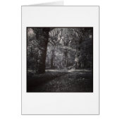 Spring Bute Park, Cardiff, Wales (Front)