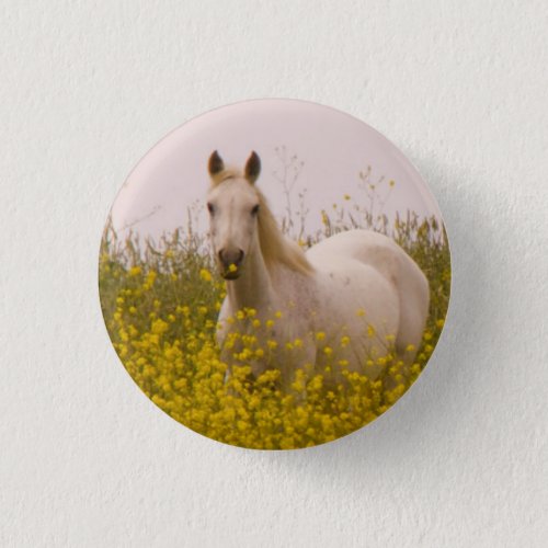 Spring Button