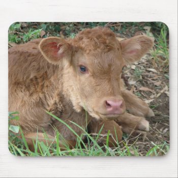 Spring Calf Mouse Pad by bubbasbunkhouse at Zazzle