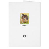 Spring Cards (Back)