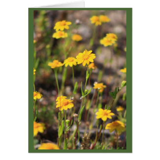 Spring Cards