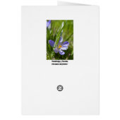 Spring Cards (Back)