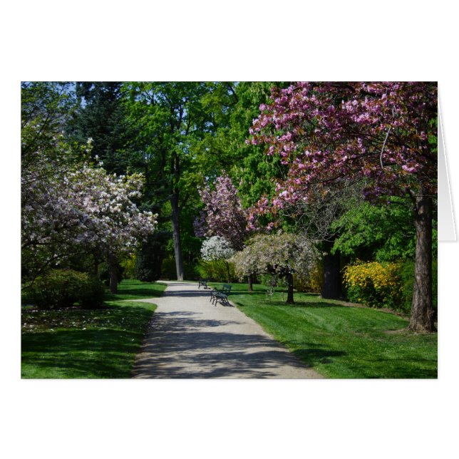 Spring Cards (Front Horizontal)