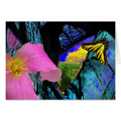 Spring Cards (Front Horizontal)