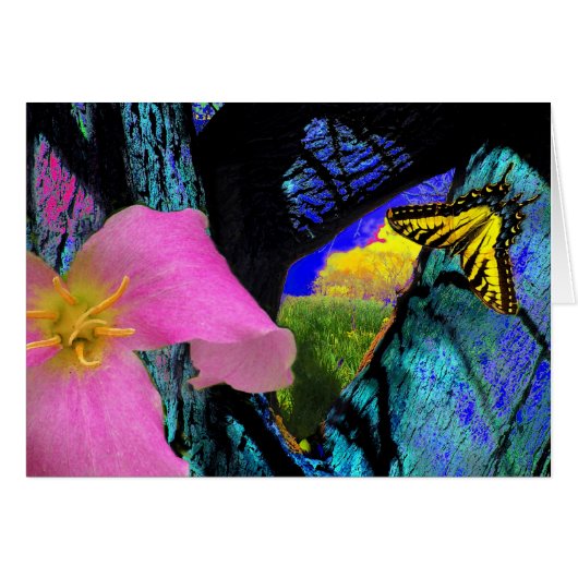Spring Cards (Front Horizontal)