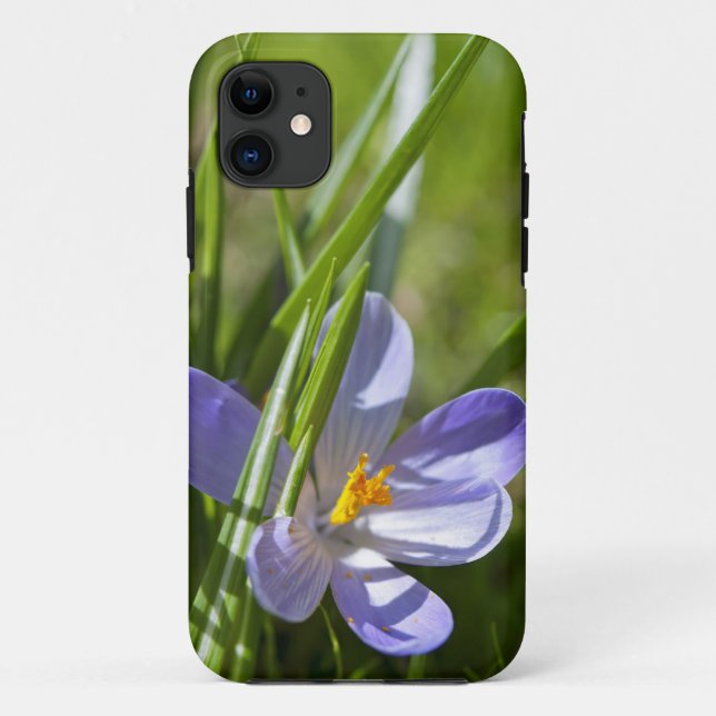 Spring Case-Mate iPhone Case (Back)