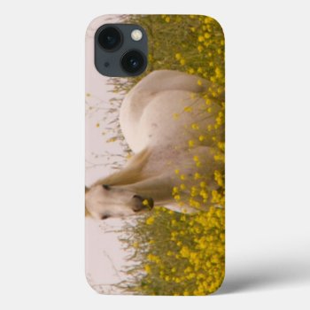 Spring Iphone 13 Case by AuraEditions at Zazzle