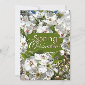 Spring Celebration Picnic Invitation