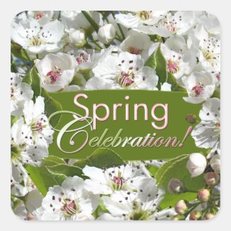 Spring Celebration White Blossoms Sticker