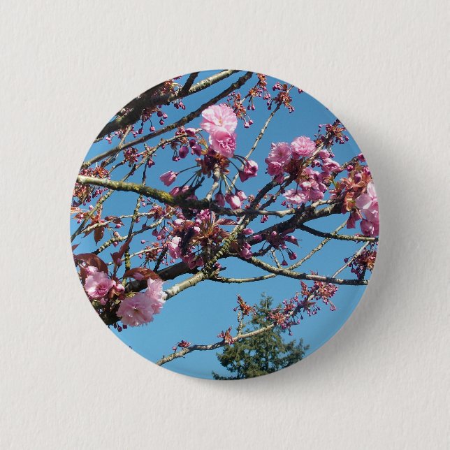 spring cherry blossom button (Front)