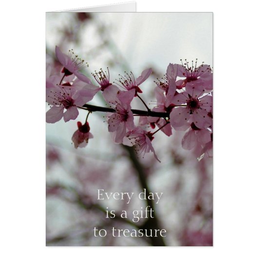 Spring Cherry Blossom Floral Cards (Front)