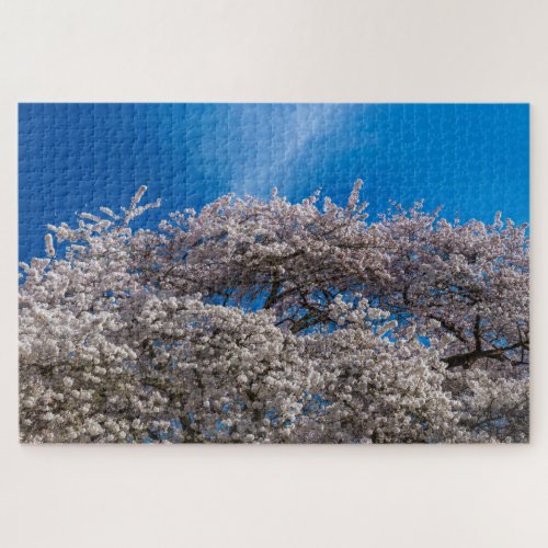 Spring Cherry Blossom Jigsaw Puzzle